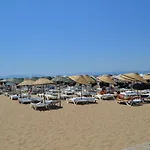 Seda
